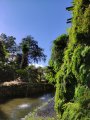 Monte Palace, Botanischer Garten in Funchal