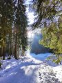 idyllische Winterlandschaften und viele Bäche 